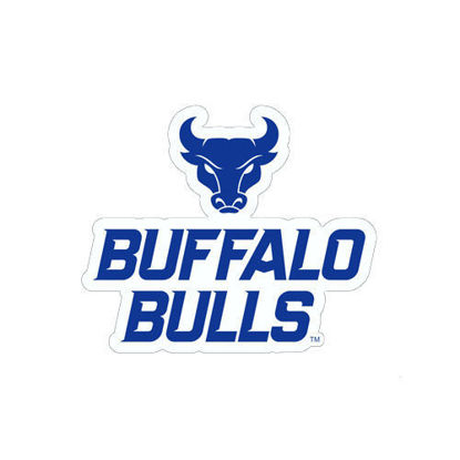 Product image of sticker with UB bulls head logo and the words “Buffalo Bulls” in blue on a white background.
